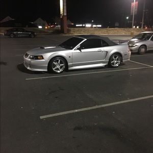 Meet your Posher, Junior